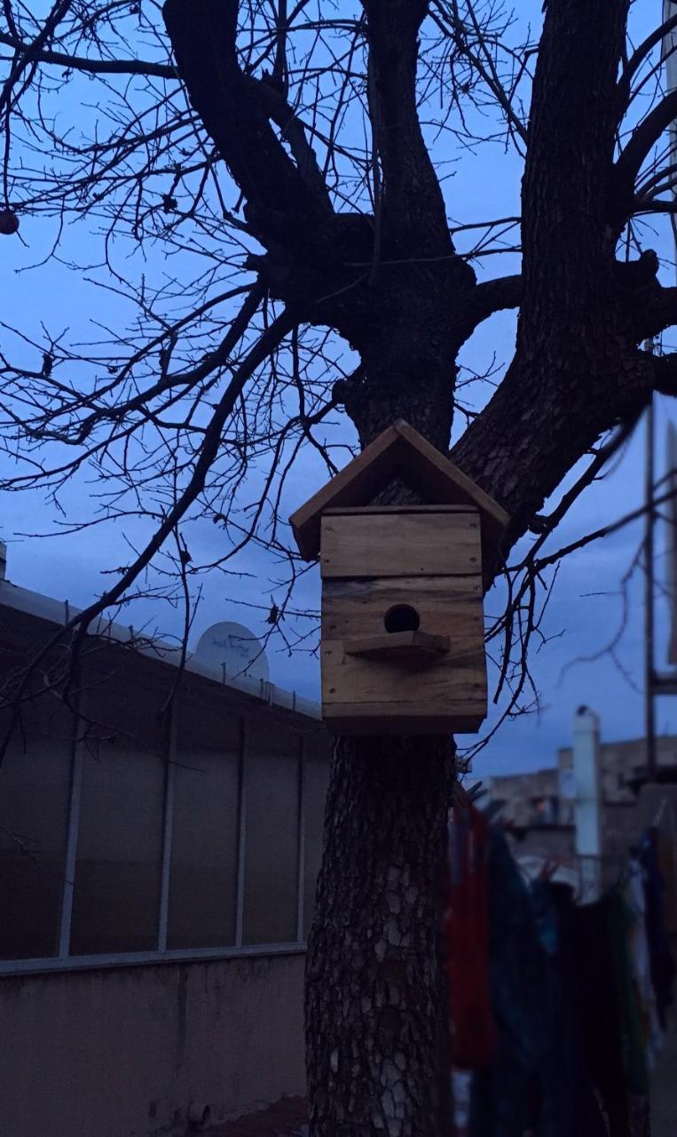 Birdhouse Rooms Τυφλίδα Εξωτερικό φωτογραφία